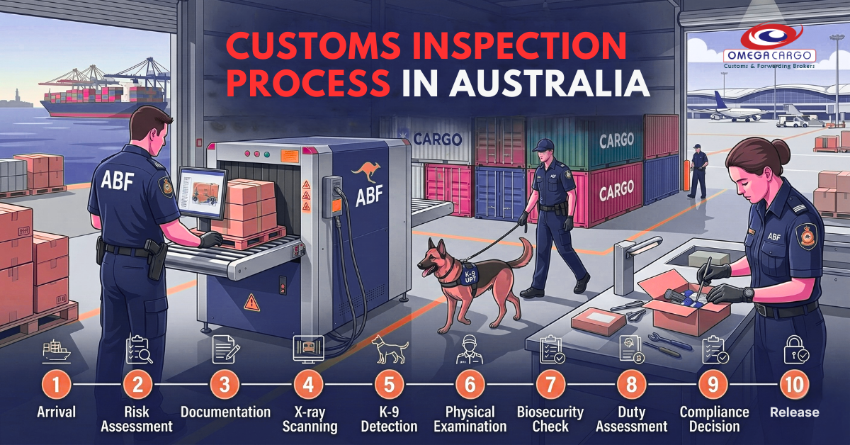 Customs Ramp Inspection Customs Inspection Process in Australia: Complete Step-by-Step Guide ...